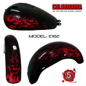 E163 Real fire and skulls airbrush work.jpg