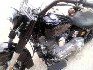 Bikes/E155closeupoftank.jpg