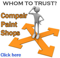compair paint shops.jpg
